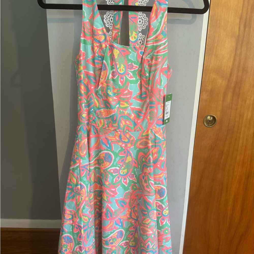 Lilly Pulitzer Pink and Green Midi Dress